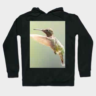 Ruby-throated Hummingbird in flight Hoodie